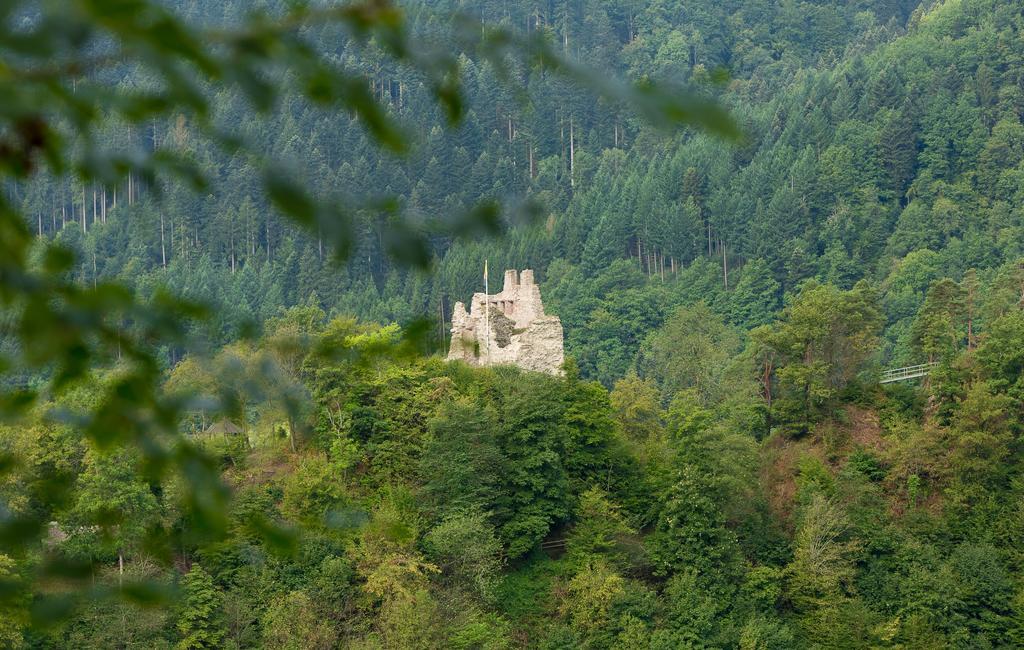 Hotel Winterhaldenhof Schenkenzell Zewnętrze zdjęcie
